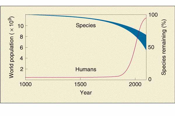 אוכלוסיה אנושית מול הכחדות מינים