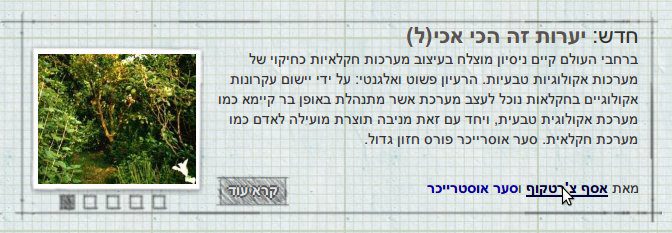 חוקרים במשותף