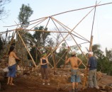 כל החברה (גיירמו מימין) מסיימים יום עבודה בבית של ניקו