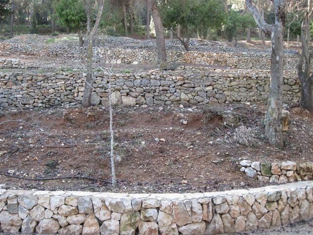 אחת השיטות העתיקות והמוצלחות לשימור נגר עילי