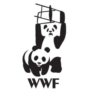 WWF?WTF