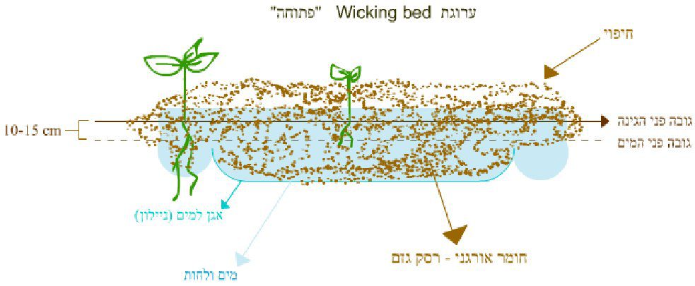 ערוגת פתיל פתוחה