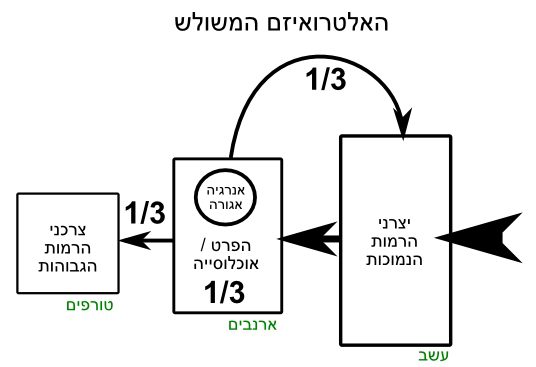 האלטרואיזם המשולש של אודום (קצת מופשט)