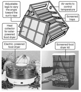 מכשירים שונים לייבוש מזון