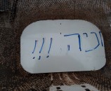 התחתית מוכנה