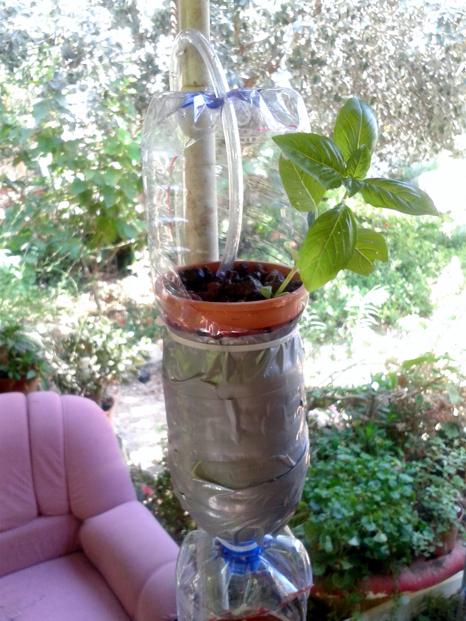 המדריך לבניית חוות חלון Window Farm | בידיים