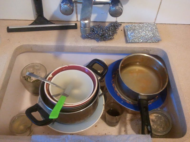 כלים בהשרייה כלים בהשרייה