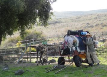 פסטיבל פסיביזם - מחשבות על טיול עם חמור ועגלה