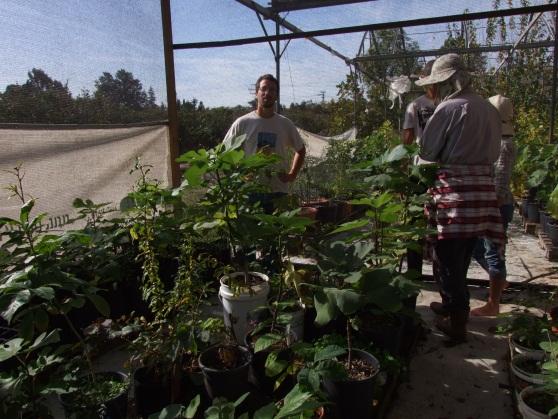 יום שישי בבוקר היה מוקדש לנושא העלאת פוריות הקרקע ביער מאכל, מיקרו- אורגניזמים מועילים ושתלנות. 