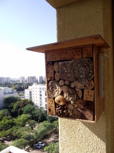 והרי היא תיבת הקינון