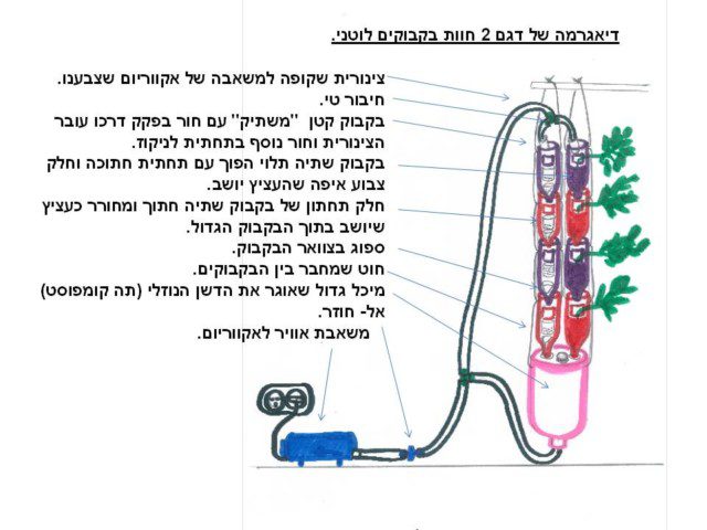 תרשים חוות חלון, קונפיגורציית לוטן