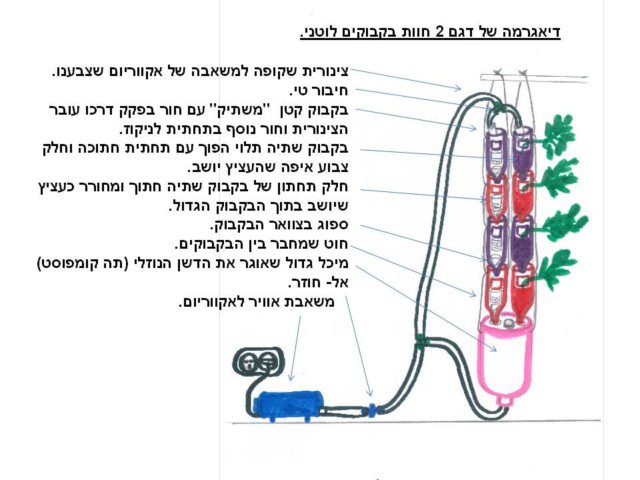 תרשים חוות חלון, קונפיגורציית לוטן