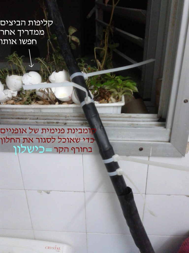 הקומבינה שכשלה