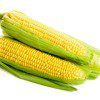 sweet-corn