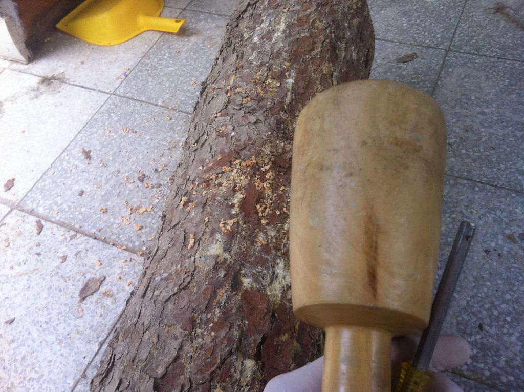 כלי העבודה להחדרת הפלג (פטיש עץ+ מברג כדי לדחוף את הפלג חצי סמ פנימה)