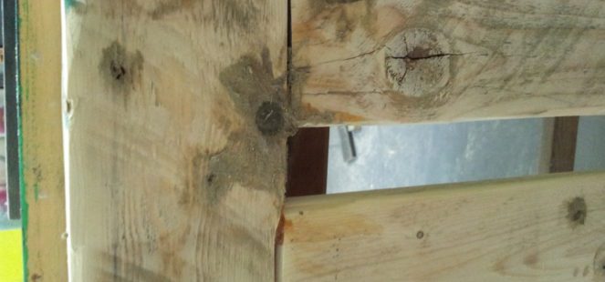 עוד תקריב על חורים