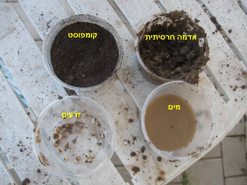 החומרים