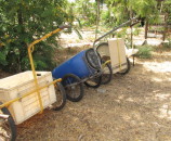 ארבעת הנגררות לפני צאתם למסע