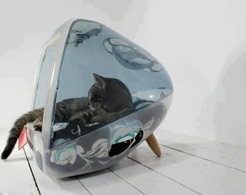 icat - בית לחתול ממסך mac ישן