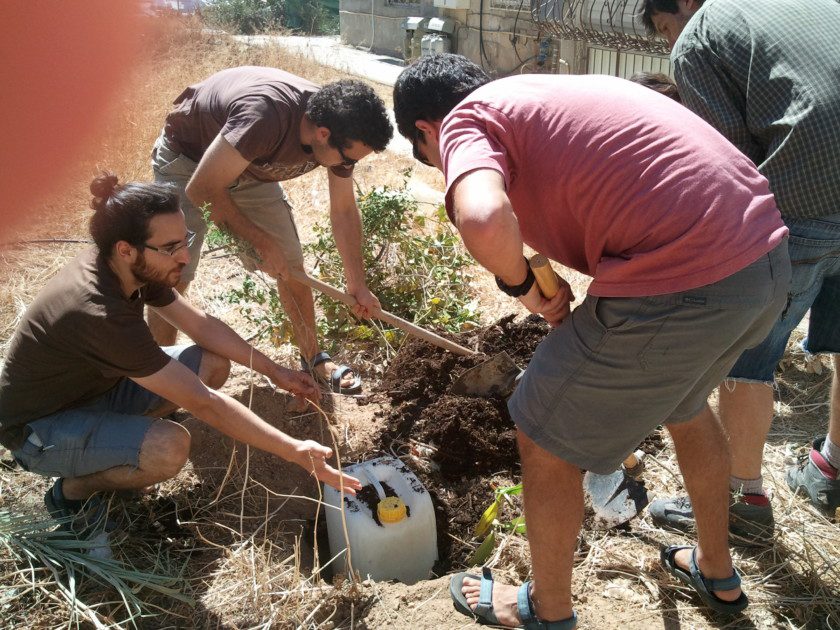 שותלים את הג'ריקן והעץ