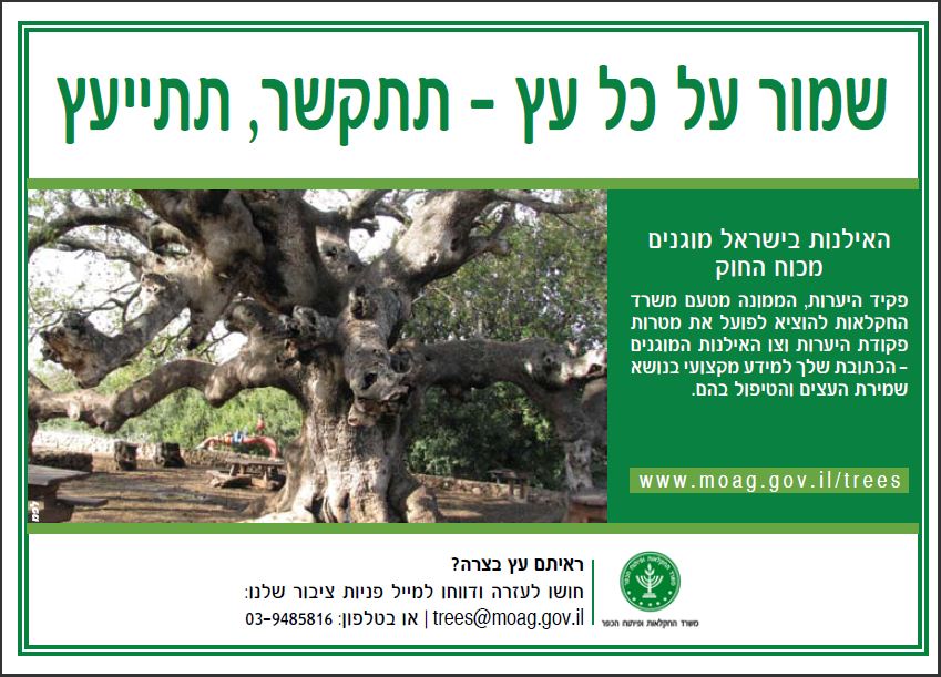 פרסום של משרד החקלאות למען הגנה על העצים