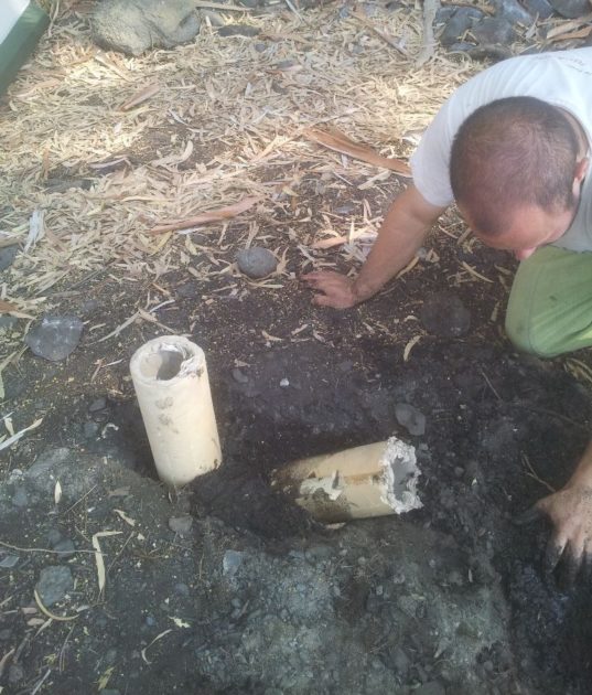 מערבב את האדמה המקומית עם הבוצה, ממש על הקרקע עצמה