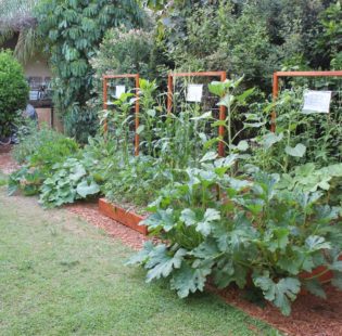 Square Foot Gardening