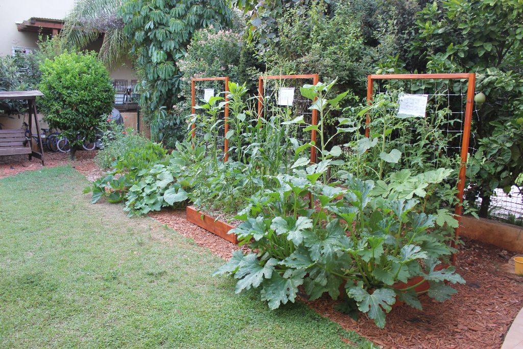 Square Foot Gardening