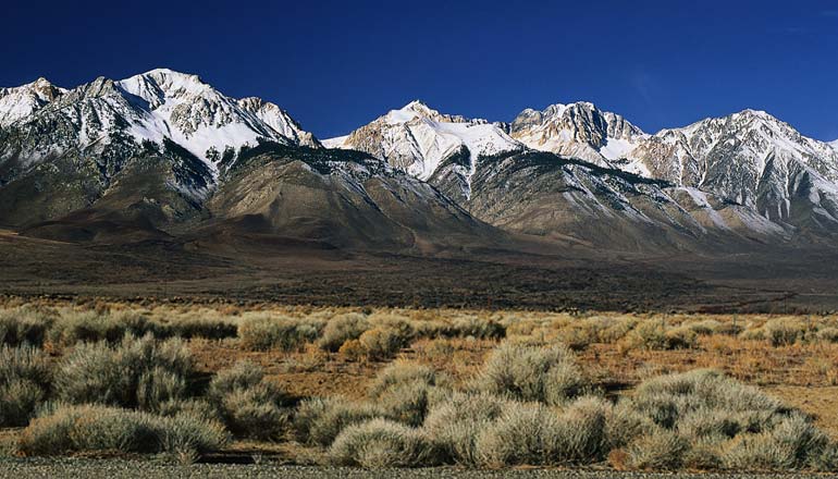 sierra Nevada- אדמה מדברית גרוע בתוספת אצטרובלים מההרים- בידיים
