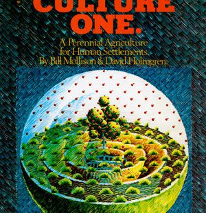 Permaculture One, 1978