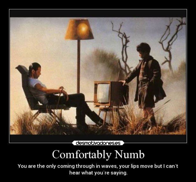 comfortably-numb-carteles-musica-desmotivaciones