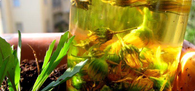 CityTree_CamomileOil_01_tami