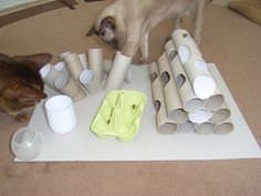 פאזל האכלה לחתול מגלילי נייר טואלט- בידיים