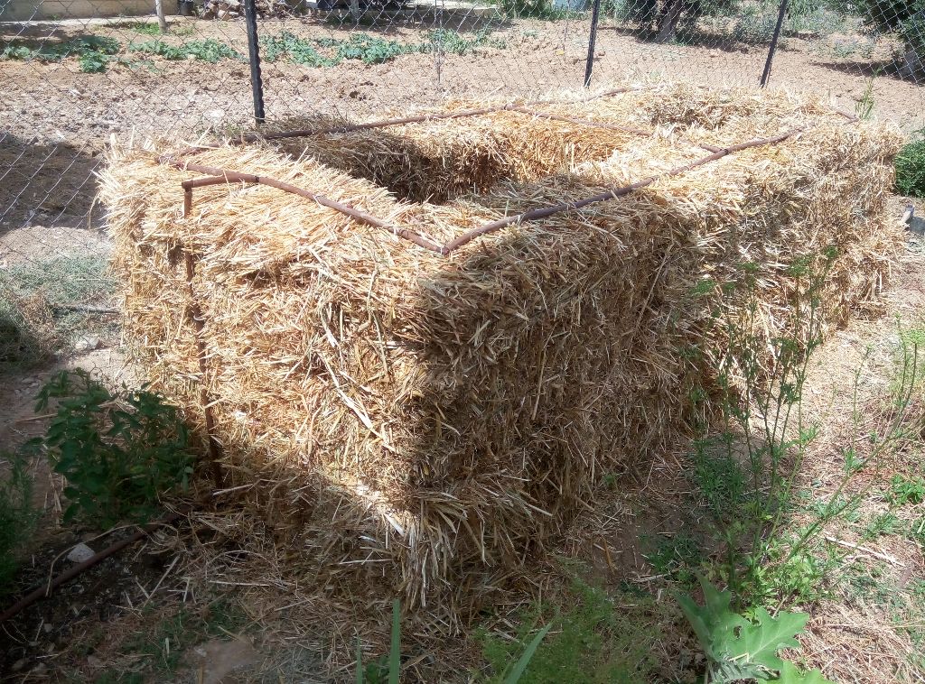 פריסת מערכת ההשקייה