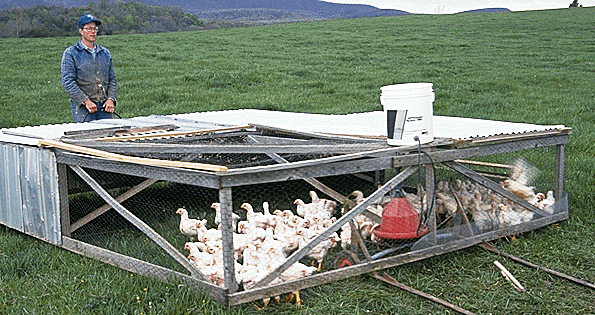 לול נייד לפטמים או טרקטור תרנגולות