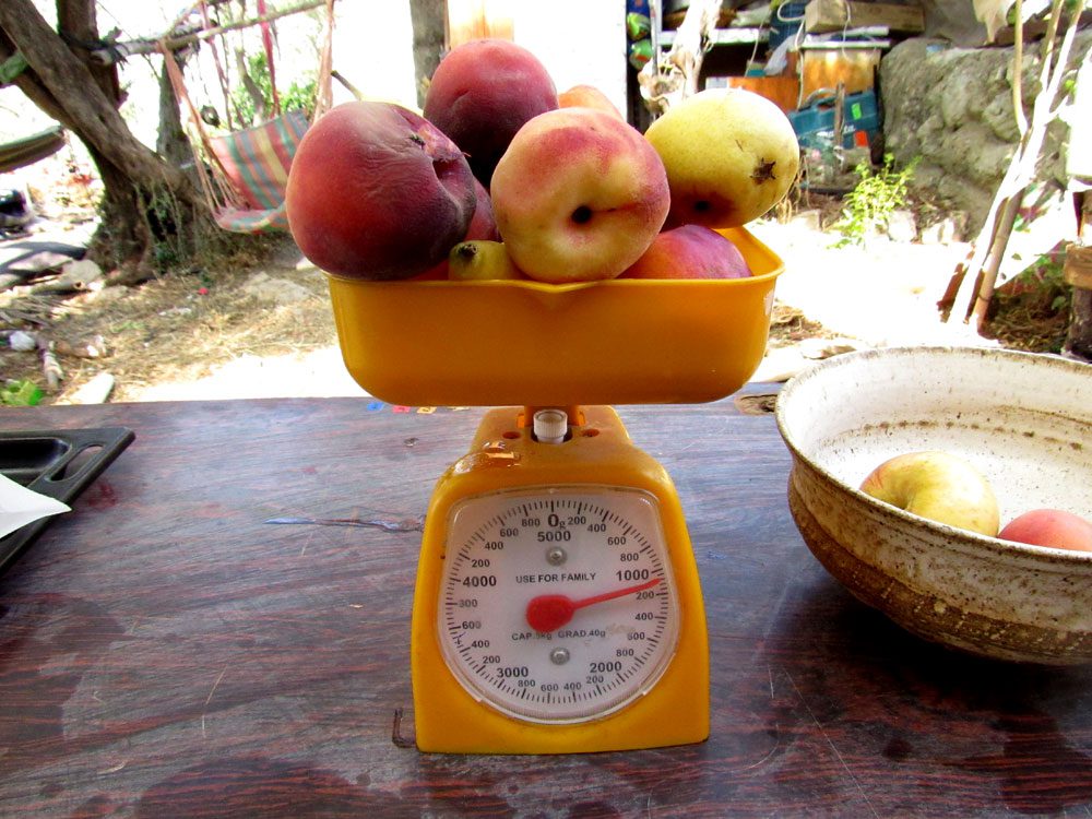 קילוגרם פירות זה קילוגרם פירות