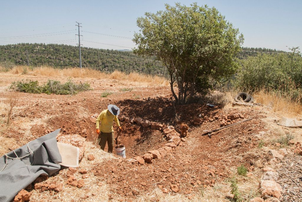 בור לבריכה אקולוגית