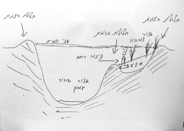 חתך מבנה הבריכה