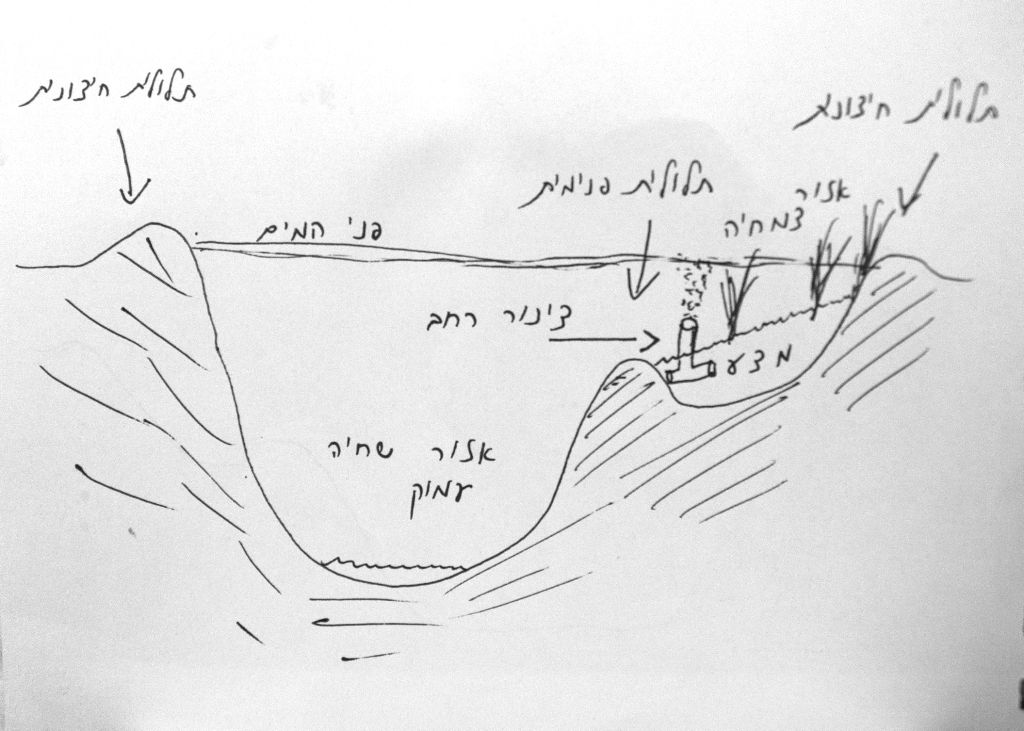 חתך מבנה הבריכה