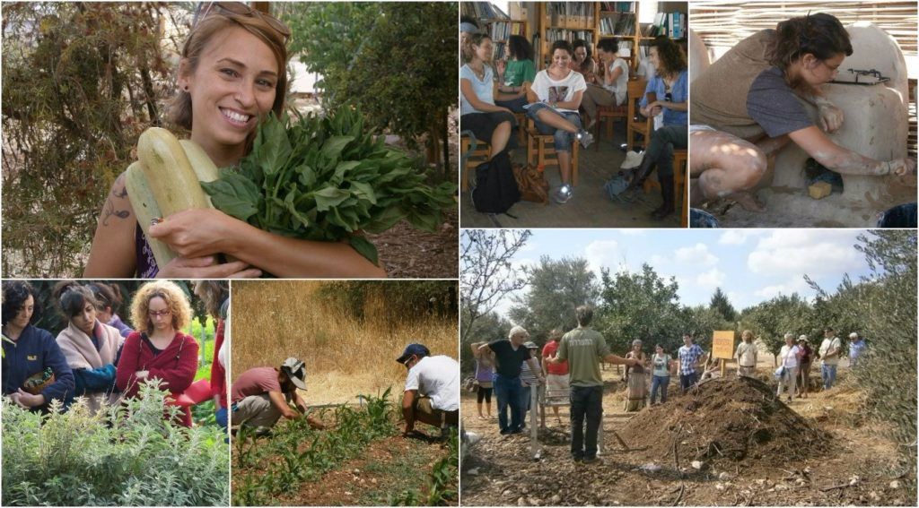 קורס תכנון פרמקלצ'ר מקיף PDC – מועד סתיו בחווה ואדם, מודיעין.
