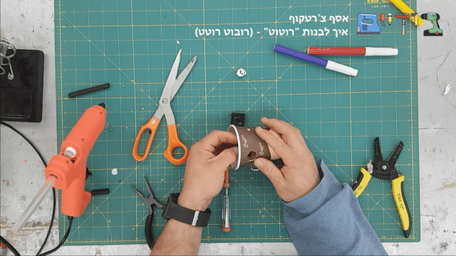 השחל המפסק למקום