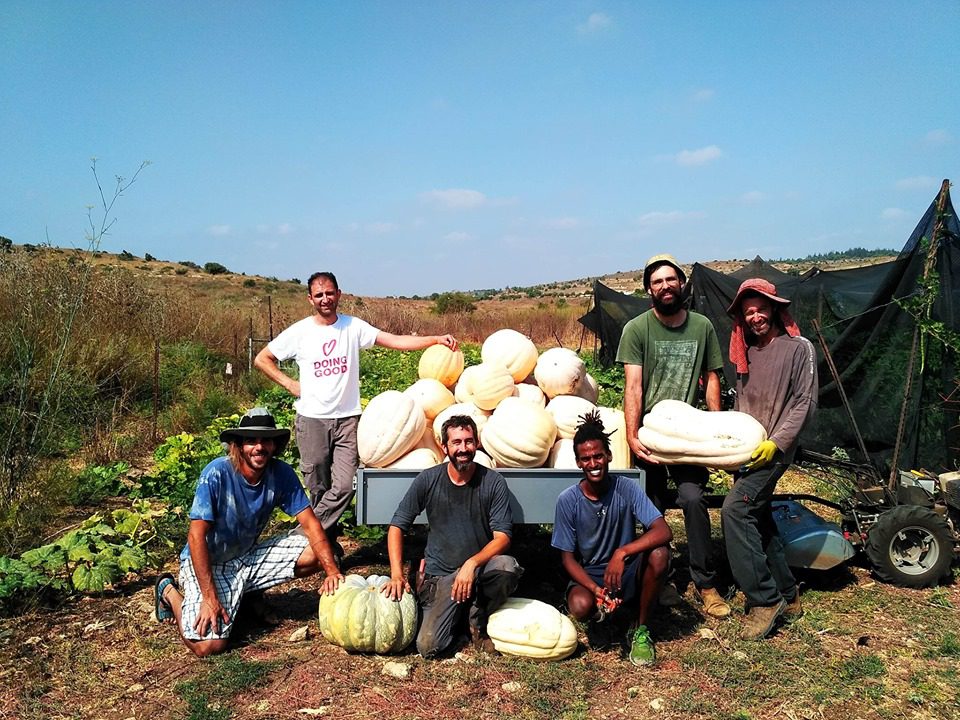 קורס הכשרה בחקלאות אקולוגית