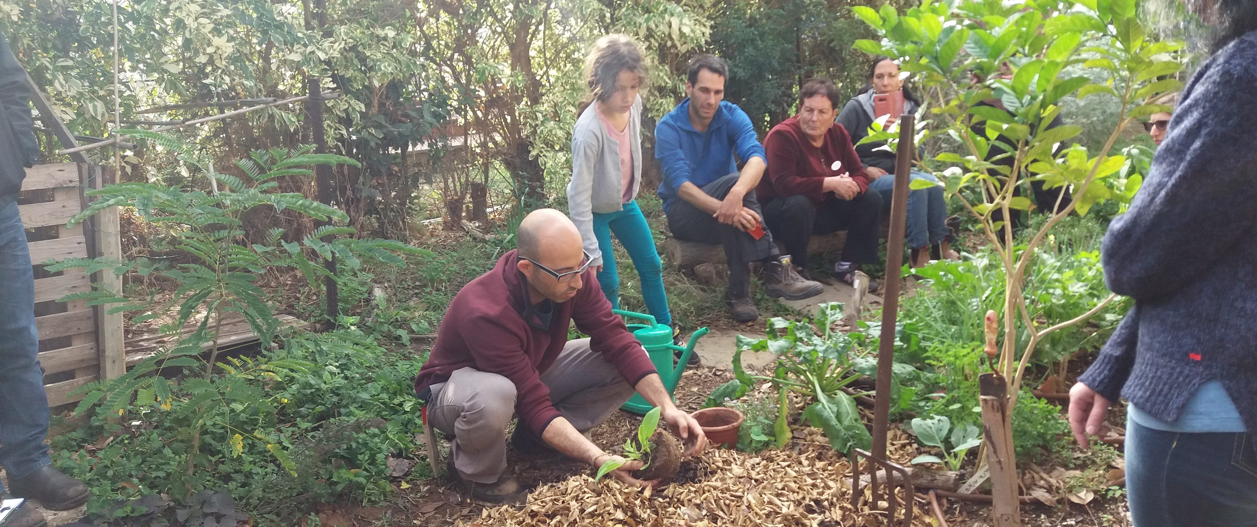 הקורס השלם לגינון אקולוגי בשיתוף ארגון גננות ונוף