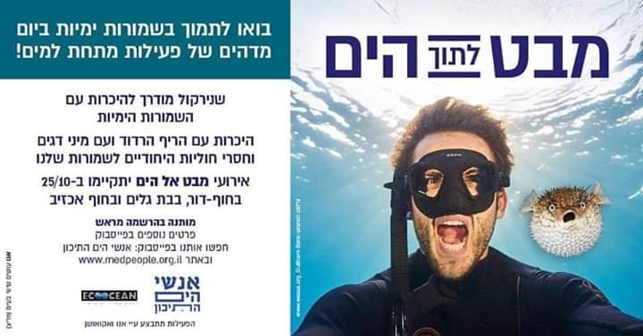 מבט לתוך הים - שנירקול מודרך בחופי השמורות הימיות