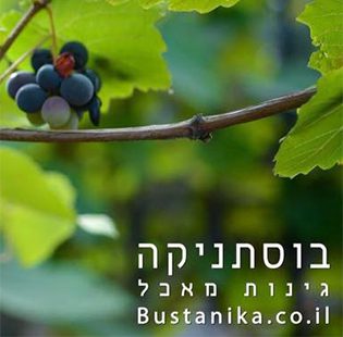 בוסתניקה - תכנון, הקמה וטיפוח של גינות מאכל בעיר, ייעוץ והדרכה