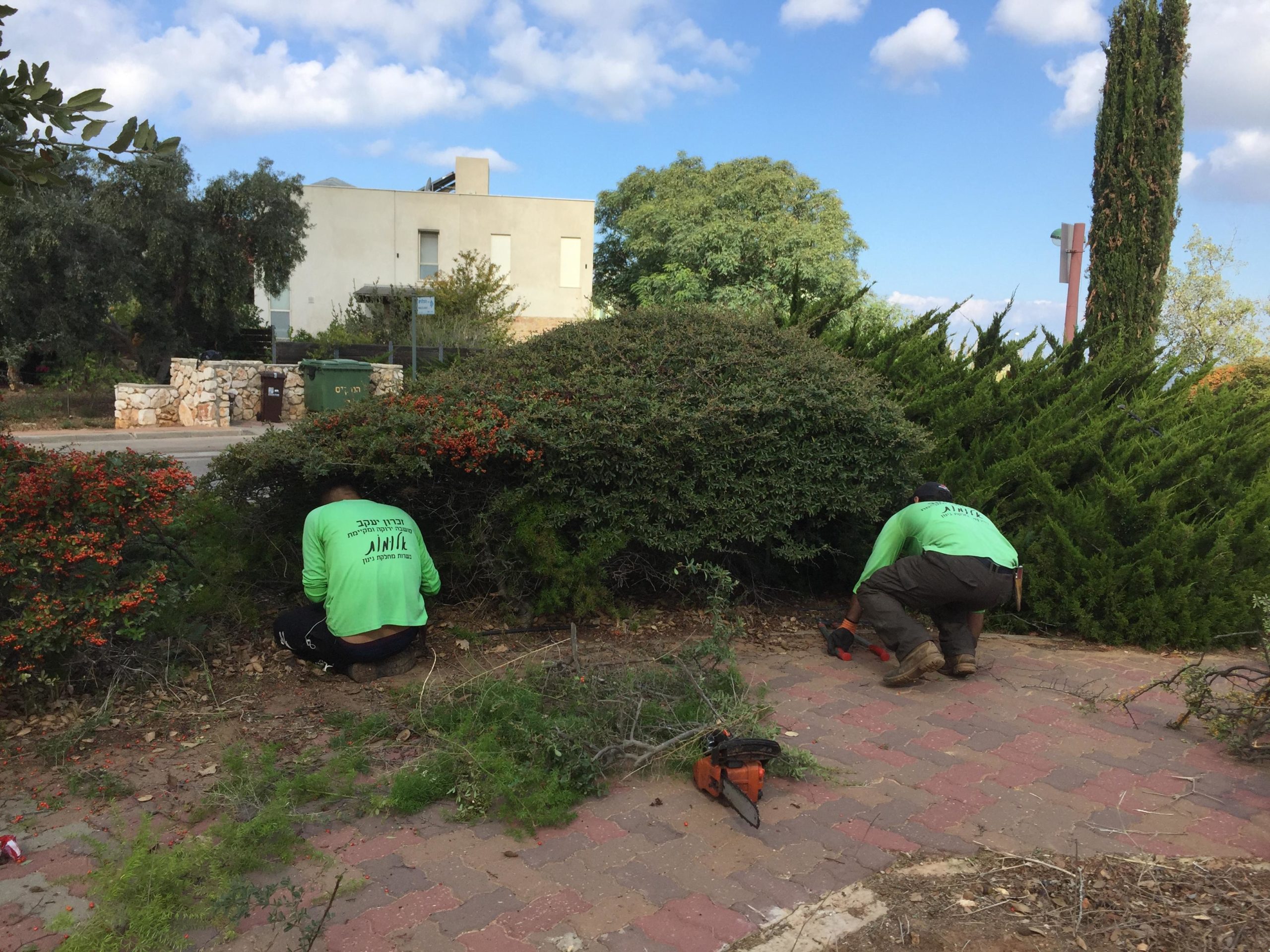 כנס מקוון של שפע הטבע - גינון בר-קיימא במרחב הציבורי