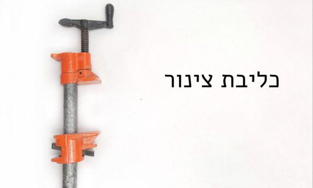 כליבת צינור