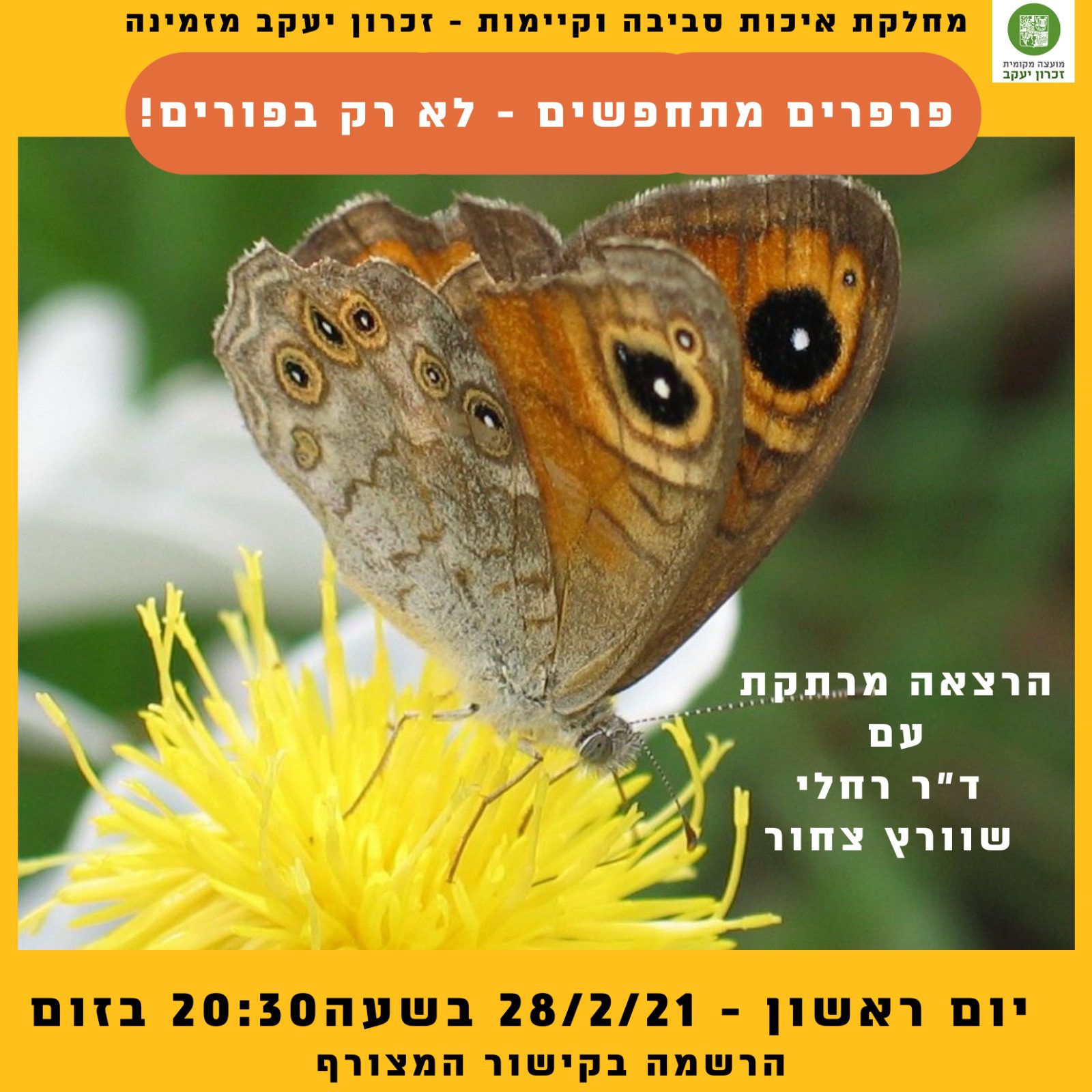 הרצאה: פרפרים מתחפשים - לא רק בפורים! עם ד"ר רחלי שוורץ צחור