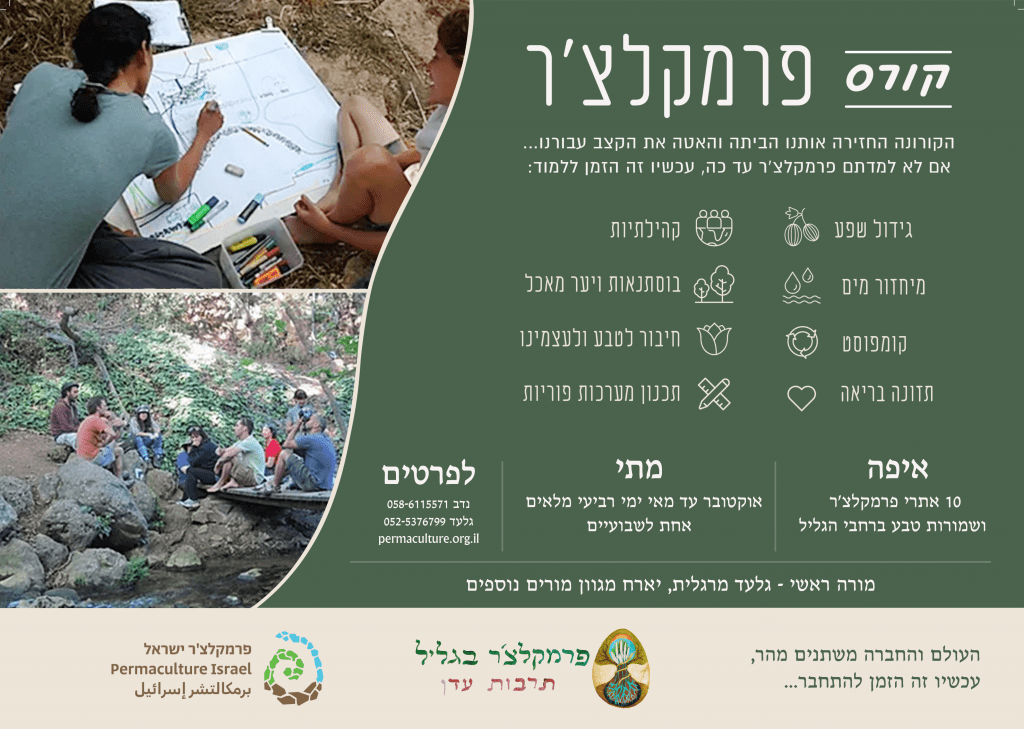 קורס PDC שנתי בגליל - תרבות עדן