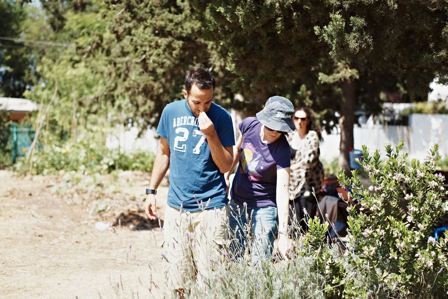 סיור ליקוט עירוני